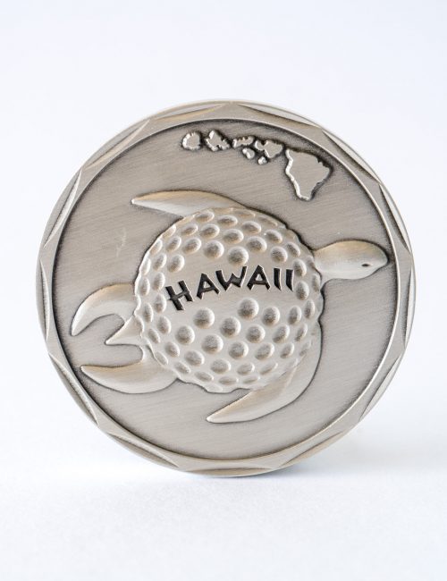 Sea Turtle Fun Coin